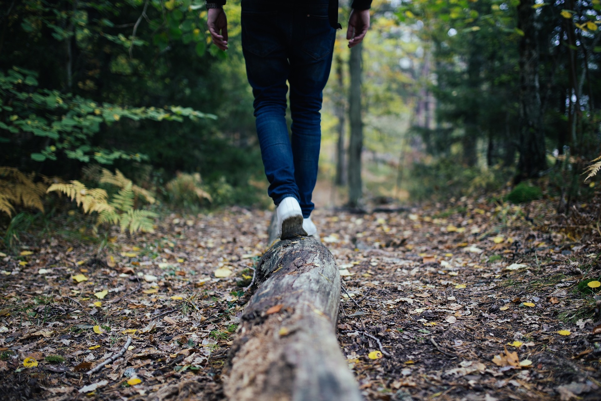 Trekking and Outdoor